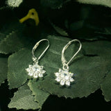 Floral zircon hoop loop earring - Silvenca